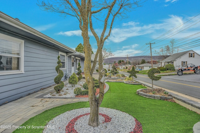 view of yard with a residential view