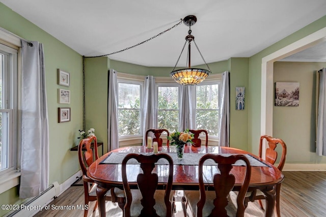 dining area featuring hardwood / wood-style floors, a healthy amount of sunlight, and a baseboard radiator