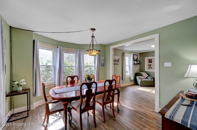 dining room featuring wood-type flooring