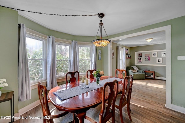 dining room featuring wood-type flooring