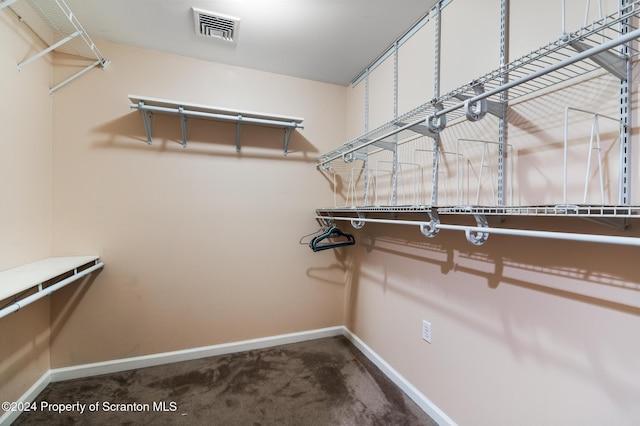 walk in closet with carpet flooring