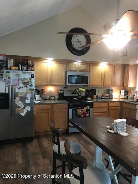203 E Jefferson St, Olyphant, PA 18447 - kitchen with appliances with stainless steel finishes, dark wood finished floors, lofted ceiling, and ceiling fan