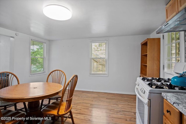 1017 W Market St, Scranton, PA 18508 - dining room with light wood-type flooring and baseboards