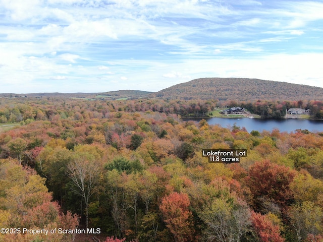 LOT2C Dunn Ln, Thompson, PA 18465 - photo 23