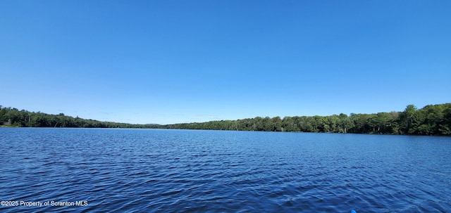 LOT2C Dunn Ln, Thompson, PA 18465 - photo 19