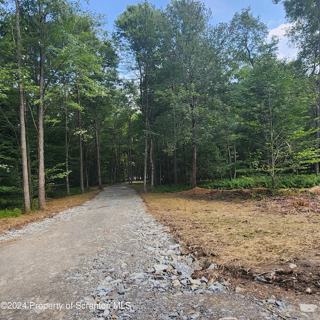 LOT2C Dunn Ln, Thompson, PA 18465 - photo 16