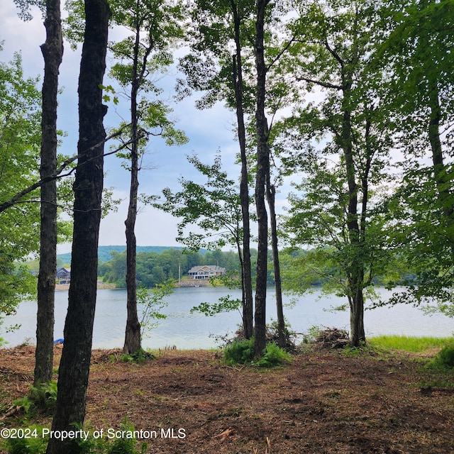 LOT2C Dunn Ln, Thompson, PA 18465 - photo 8