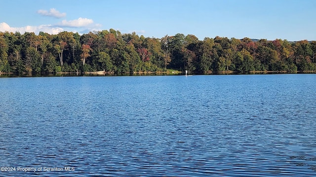LOT2C Dunn Ln, Thompson, PA 18465 - photo 18