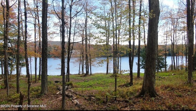 Listing photo 3 for LOT2C Dunn Ln, Thompson PA 18465