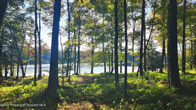 LOT2C Dunn Ln, Thompson, PA 18465 - photo 3