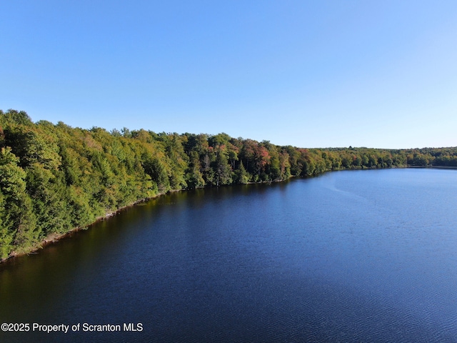LOT2C Dunn Ln, Thompson, PA 18465 - photo 7