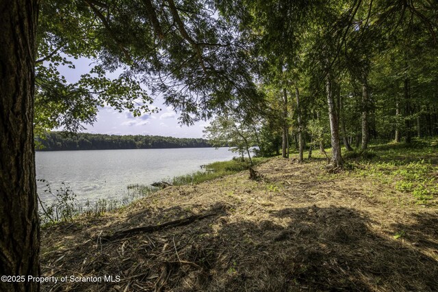 LOT2C Dunn Ln, Thompson, PA 18465 - photo 11
