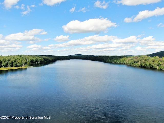 LOT2C Dunn Ln, Thompson, PA 18465 - photo 2