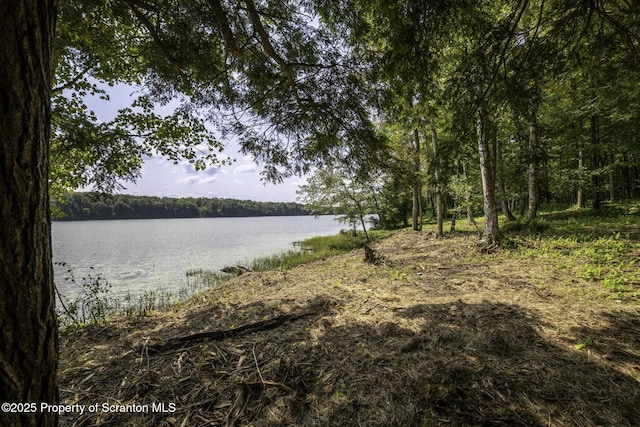 LOT2C Dunn Ln, Thompson, PA 18465 - photo 12
