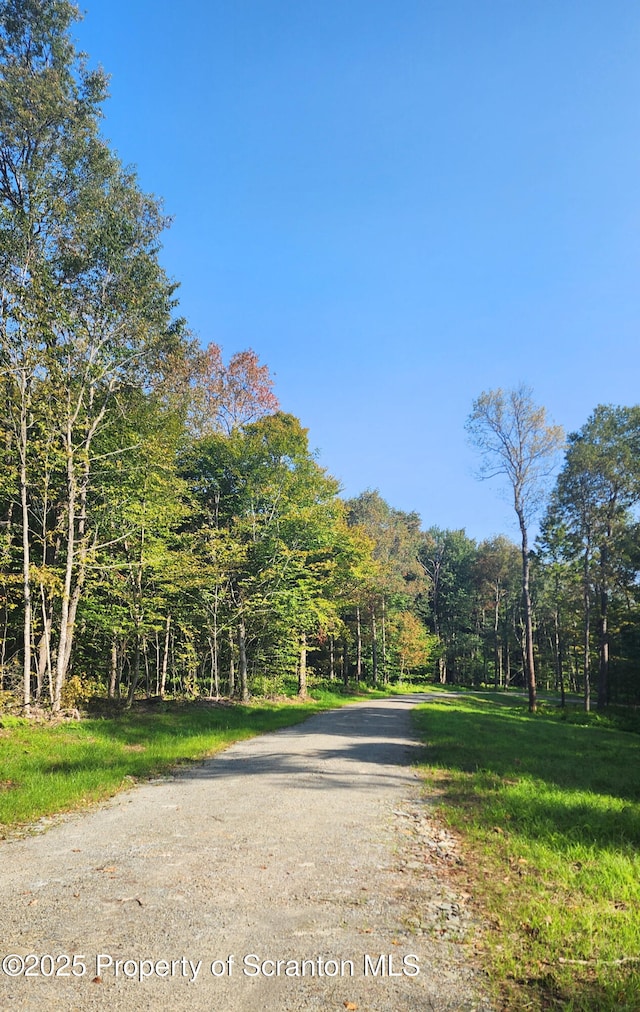 LOT2C Dunn Ln, Thompson, PA 18465 - photo 14