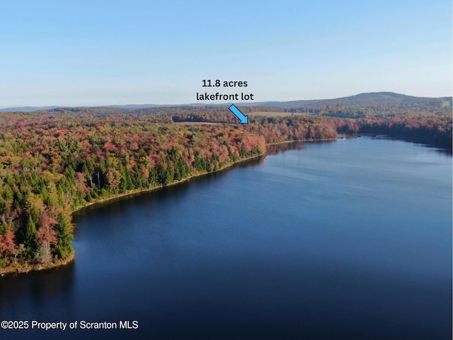 LOT2C Dunn Ln, Thompson, PA 18465 - photo 22
