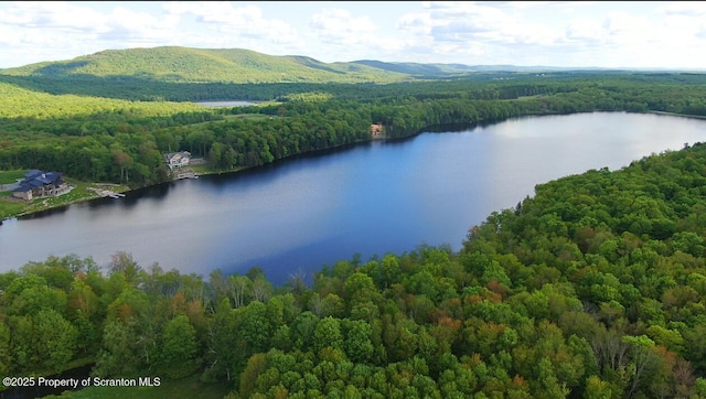 LOT2C Dunn Ln, Thompson, PA 18465 - photo 1