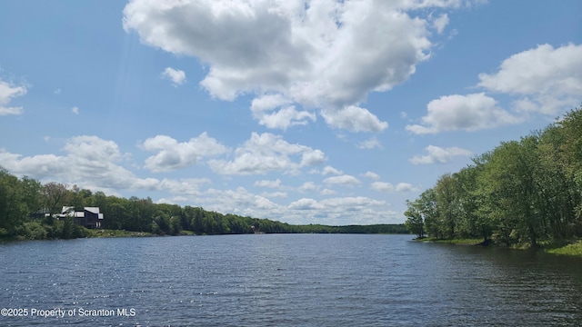 LOT2C Dunn Ln, Thompson, PA 18465 - photo 21