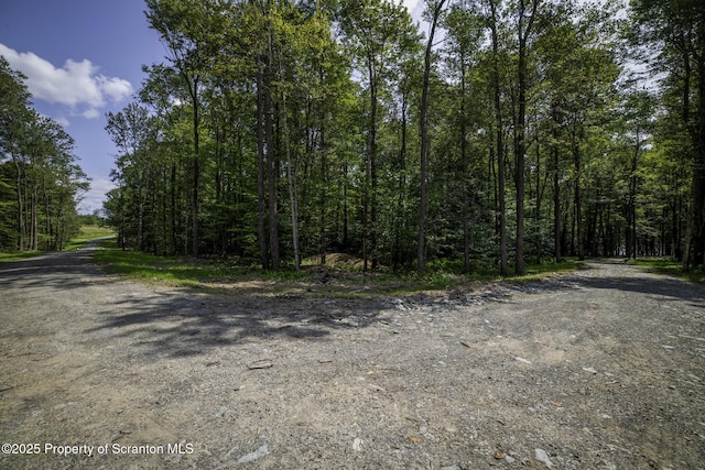 LOT2C Dunn Ln, Thompson, PA 18465 - photo 15