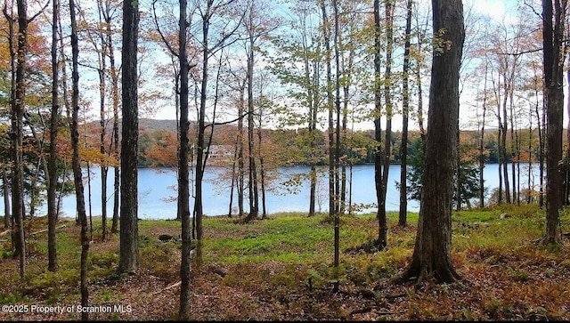 LOT2C Dunn Ln, Thompson, PA 18465 - photo 9