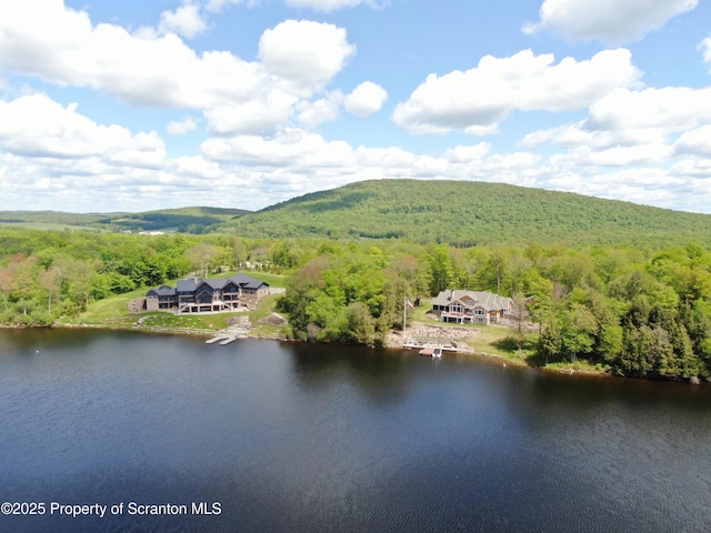 LOT2C Dunn Ln, Thompson, PA 18465 - photo 5