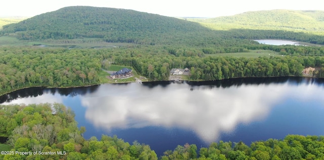 LOT2C Dunn Ln, Thompson, PA 18465 - photo 6