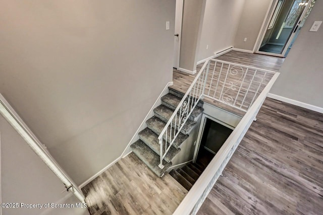 staircase featuring wood-type flooring