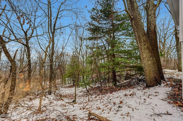 view of snow covered land