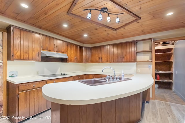 kitchen with black electric stovetop, light hardwood / wood-style flooring, wood ceiling, and sink