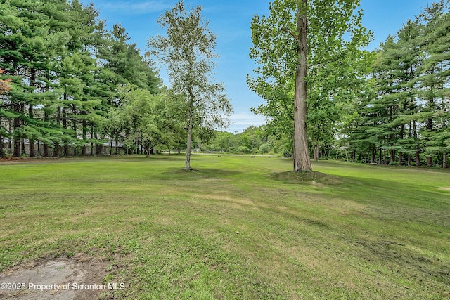 28 Breaker St, Old Forge, PA 18518 - photo 48