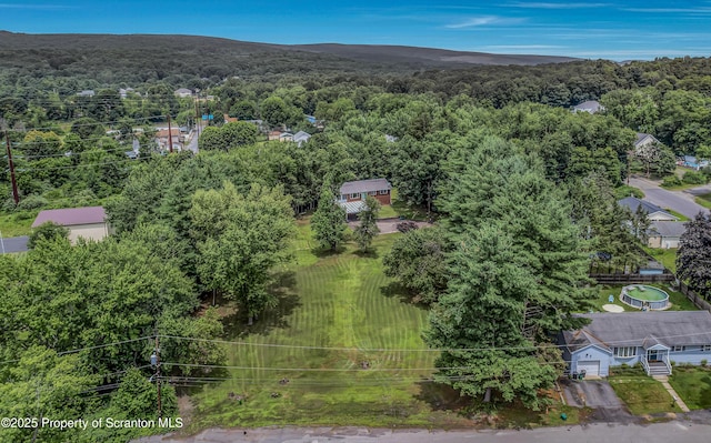 28 Breaker St, Old Forge, PA 18518 - photo 12