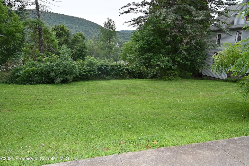 549 Washington St, Susquehanna, PA 18847 - photo 3