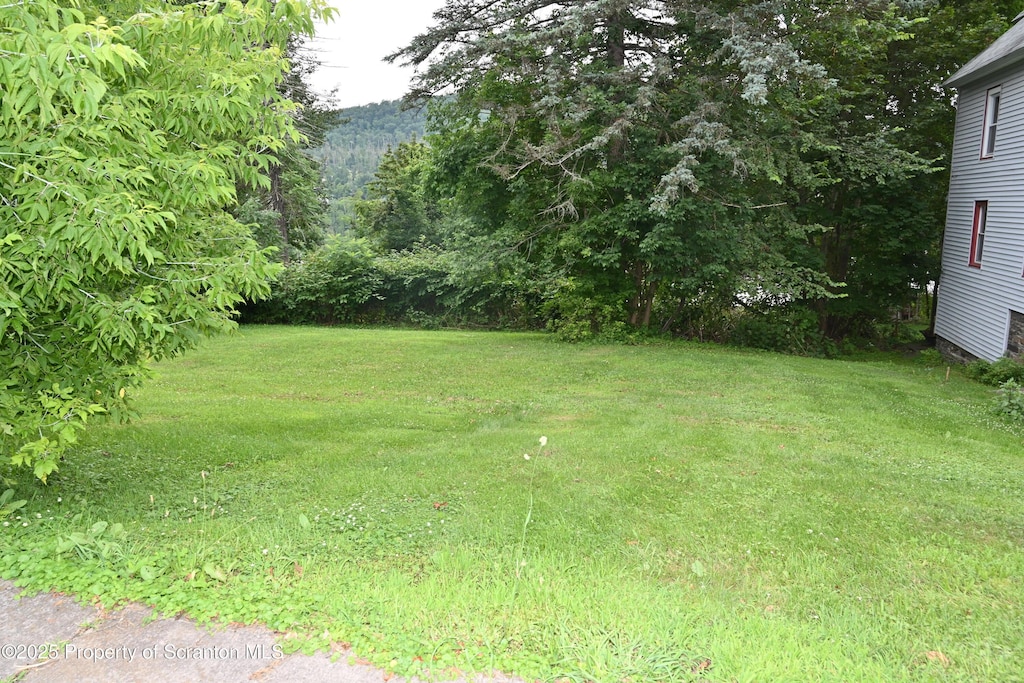 549 Washington St, Susquehanna, PA 18847 - photo 4
