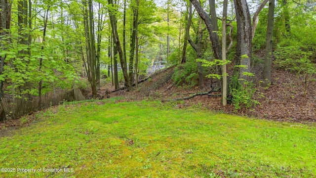 view of yard featuring a wooded view