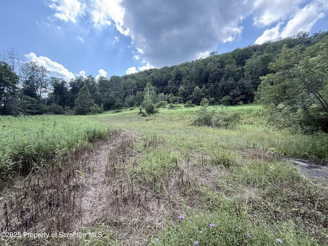 12646 State Route 92, South Gibson, PA 18842 - photo 24