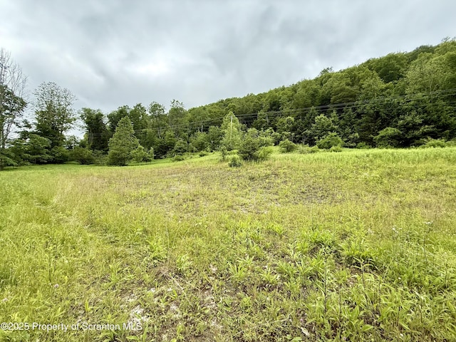 12646 State Route 92, South Gibson, PA 18842 - photo 18