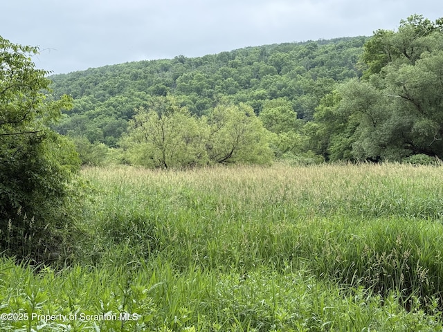 12646 State Route 92, South Gibson, PA 18842