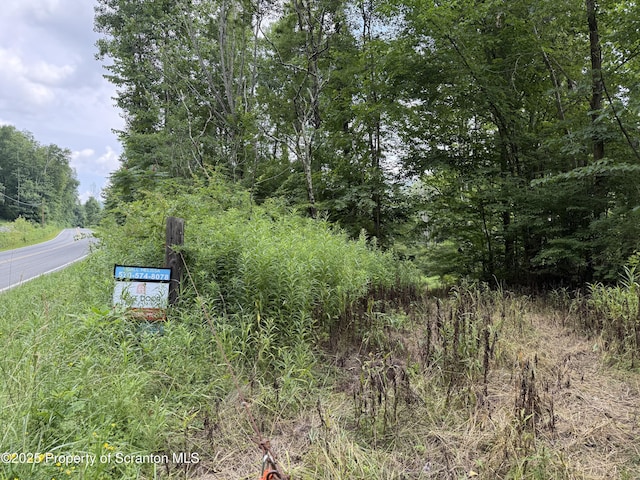 12646 State Route 92, South Gibson, PA 18842 - photo 25