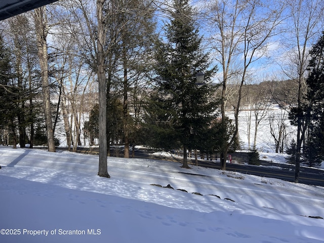 view of yard covered in snow