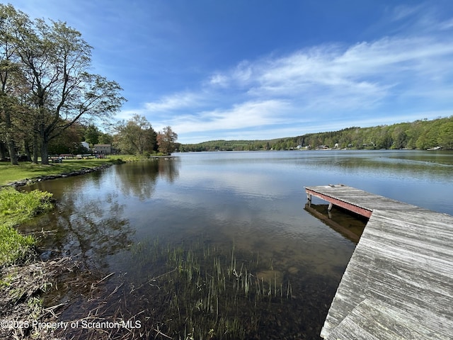 273 State Route 2067, Clifford Twp, PA 18470 - dock with a water view