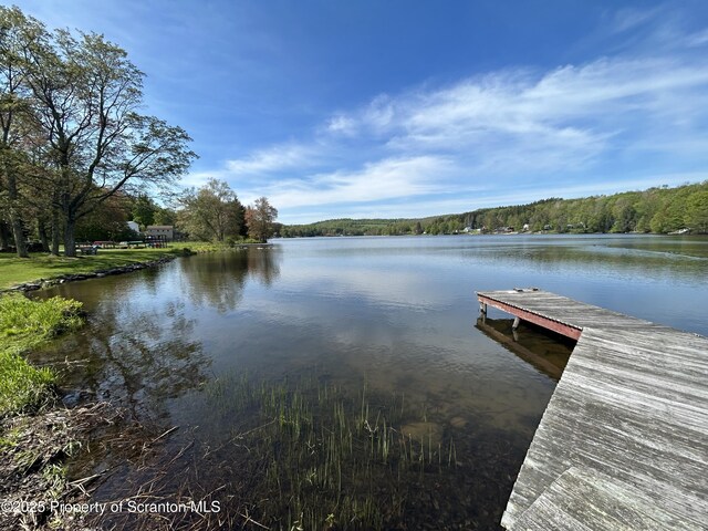 273 State Route 2067, Clifford Twp, PA 18470 - dock with a water view