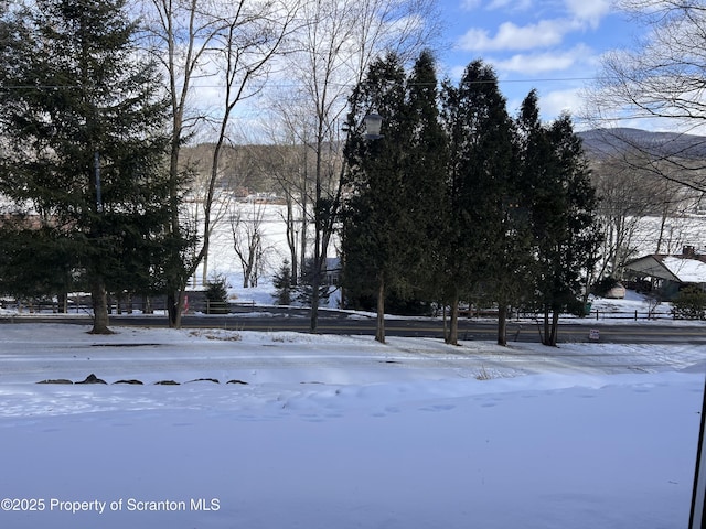 view of yard layered in snow