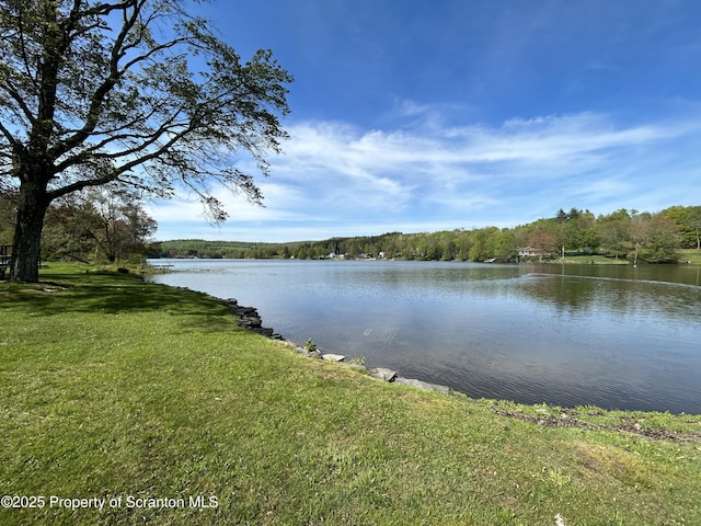 273 State Route 2067, Clifford Twp, PA 18470 - water view featuring a forest