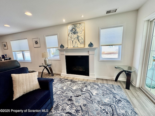 living room featuring light hardwood / wood-style flooring