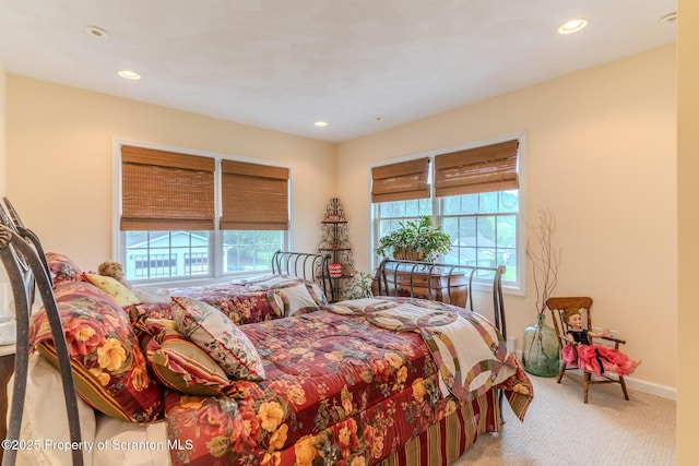 99 Elizabeth Ave, Hallstead, PA 18822 - bedroom featuring carpet, recessed lighting, and baseboards