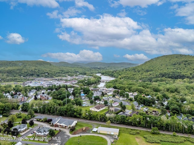 99 Elizabeth Ave, Hallstead, PA 18822 - drone / aerial view of a mountainous background and a heavily wooded area