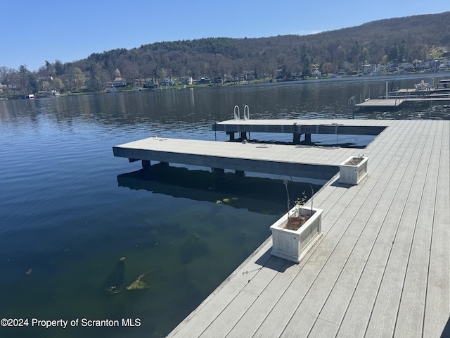 view of dock featuring a view of trees and a water view