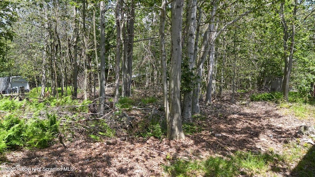 3020 Briarwood Dr, Tobyhanna, PA 18466 - photo 24