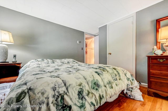 bedroom with wood-type flooring and a closet