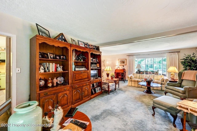 living room with light colored carpet and a textured ceiling